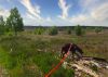 Landschaftsfotografie mit Hund in der Heide