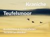 Kraniche im Teufelsmoor beobachten & fotografieren